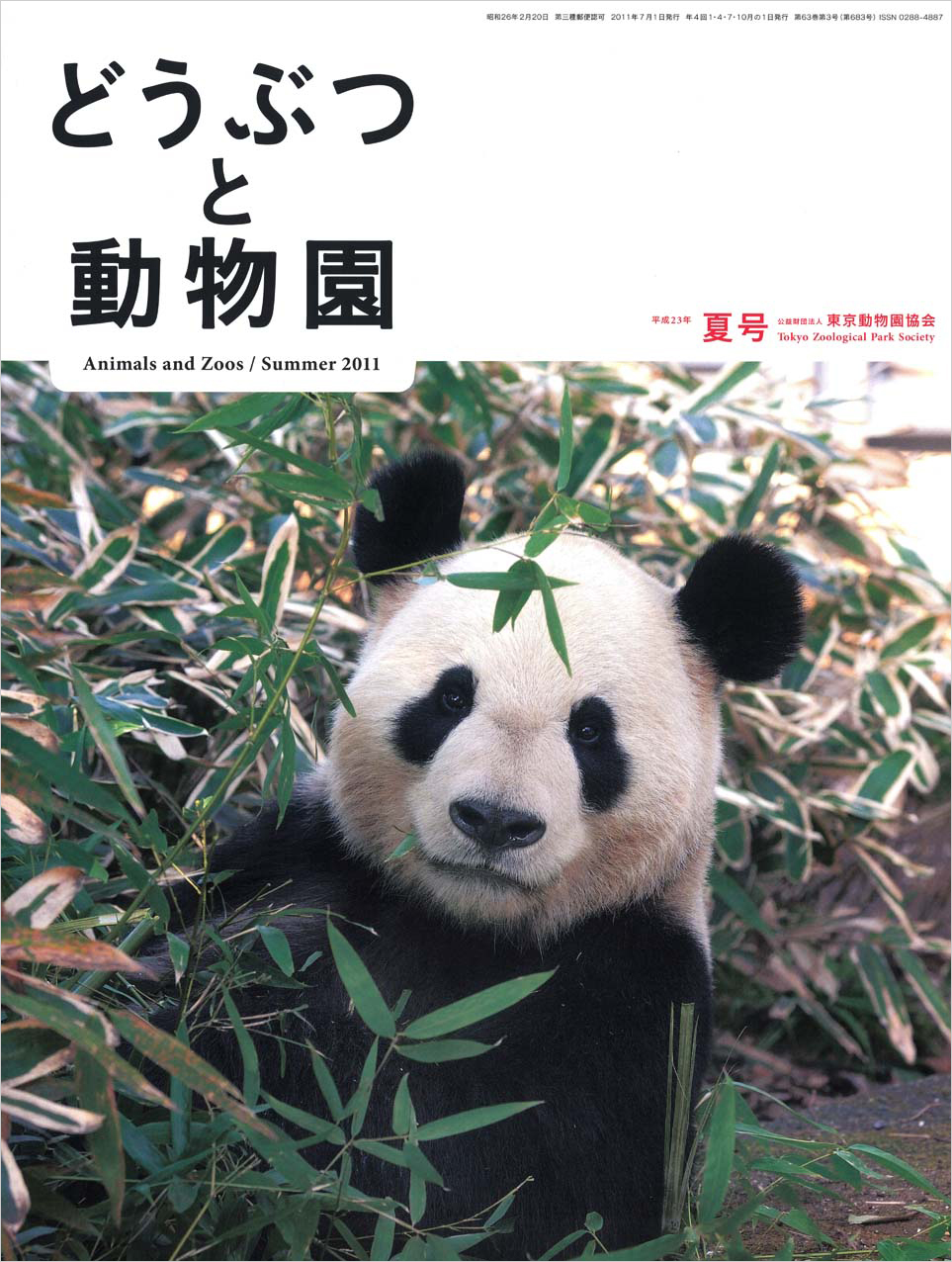 上野動物園のジャイアントパンダ