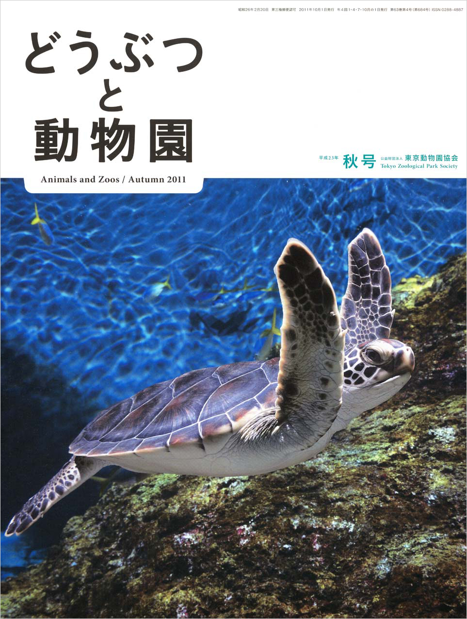 葛西臨海水族園のアオウミガメ