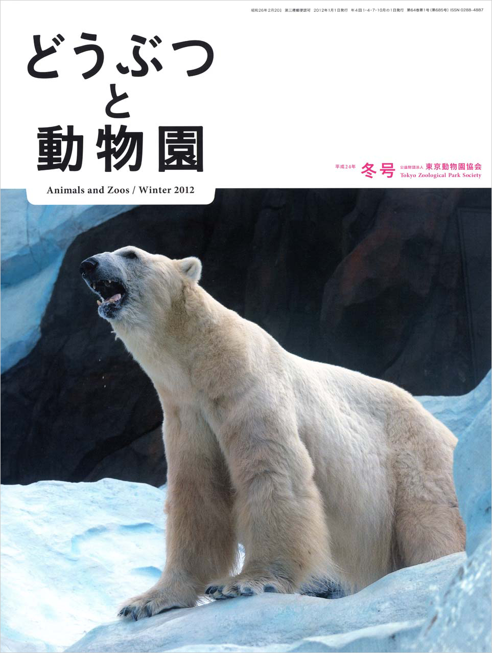 上野動物園のホッキョクグマ