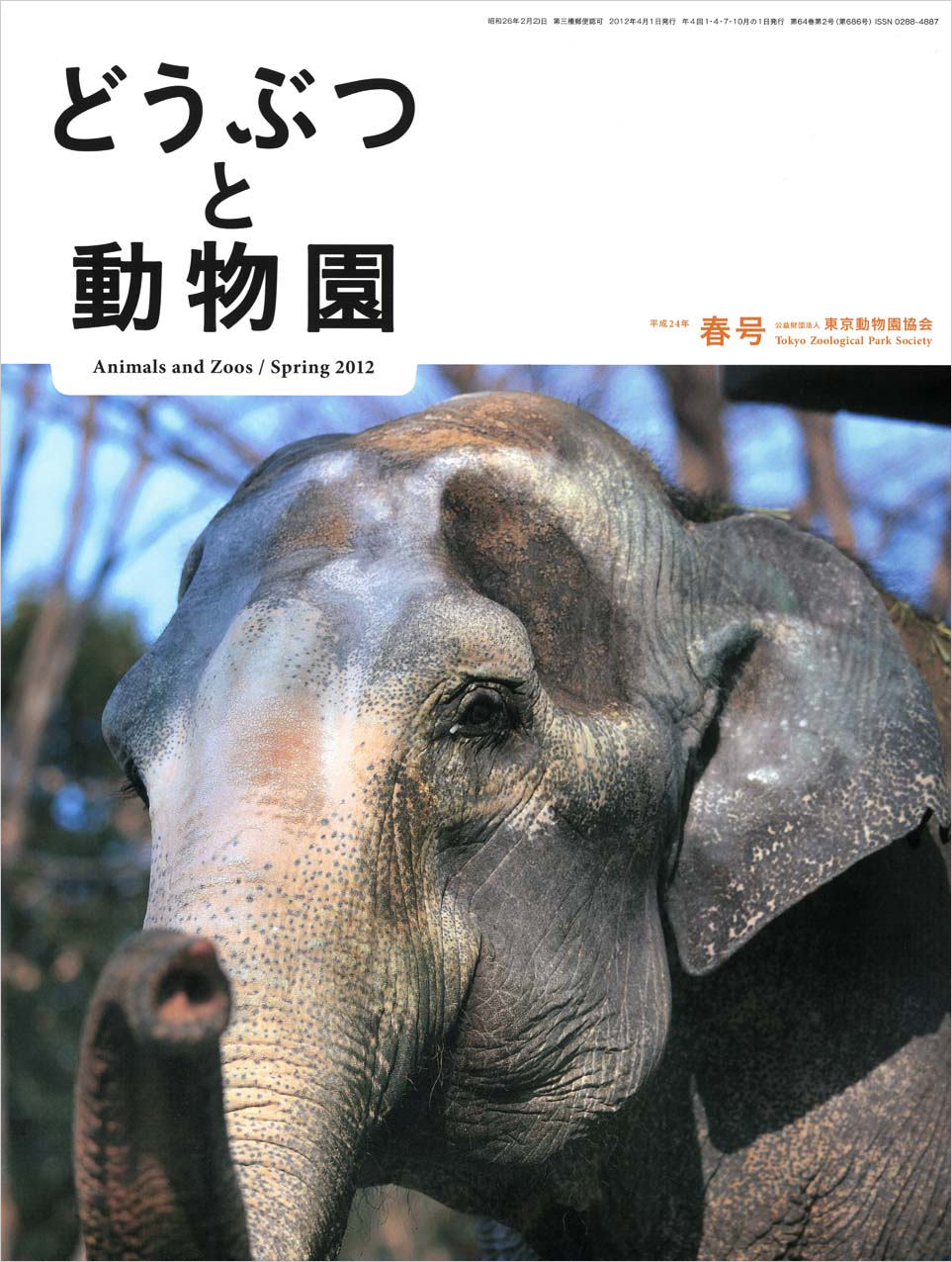 井の頭自然文化園のアジアゾウ“はな子”