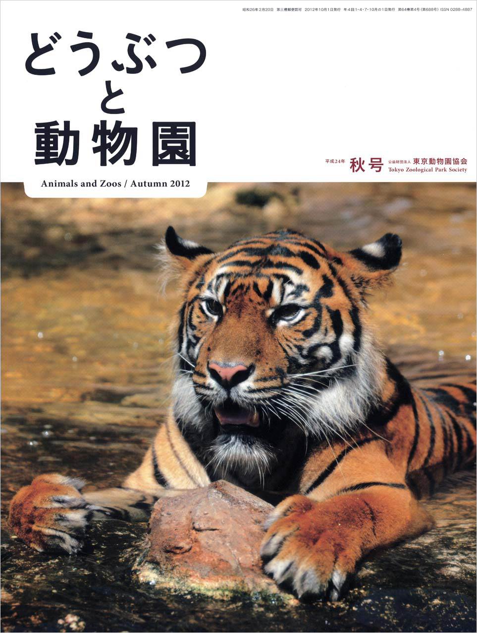 上野動物園のスマトラトラ