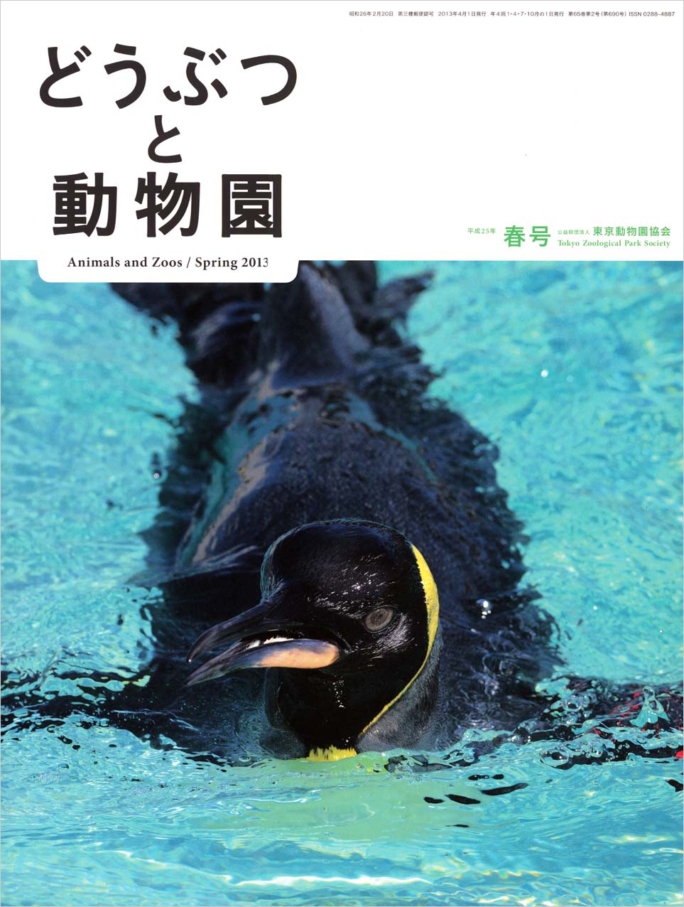 葛西臨海水族園のオウサマペンギン