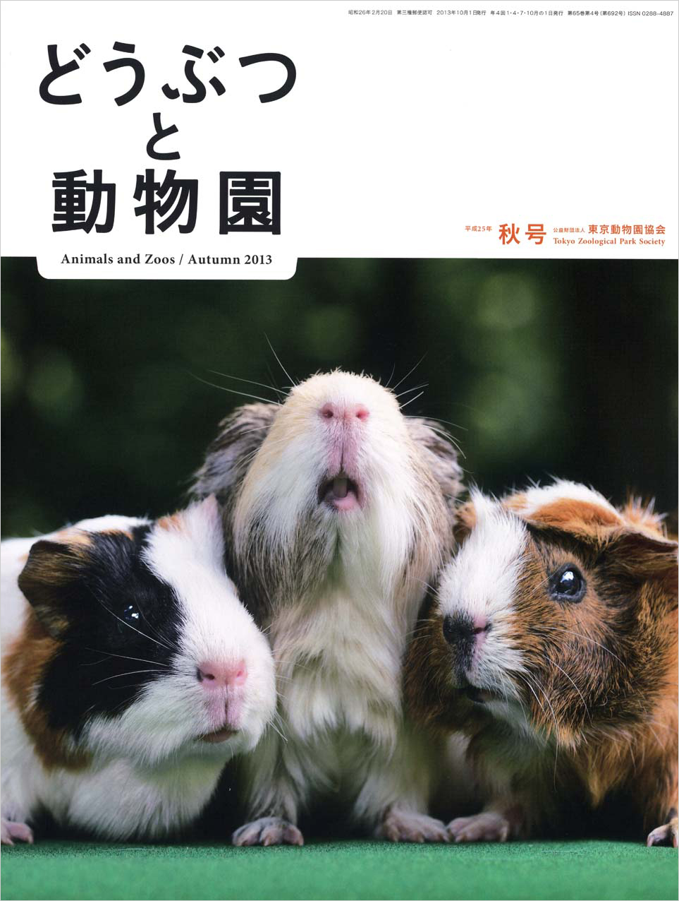 井の頭自然文化園のモルモット（テンジクネズミ）