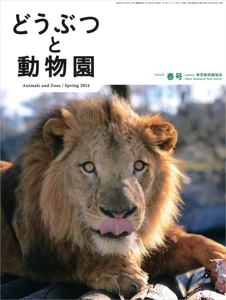 多摩動物公園のライオン