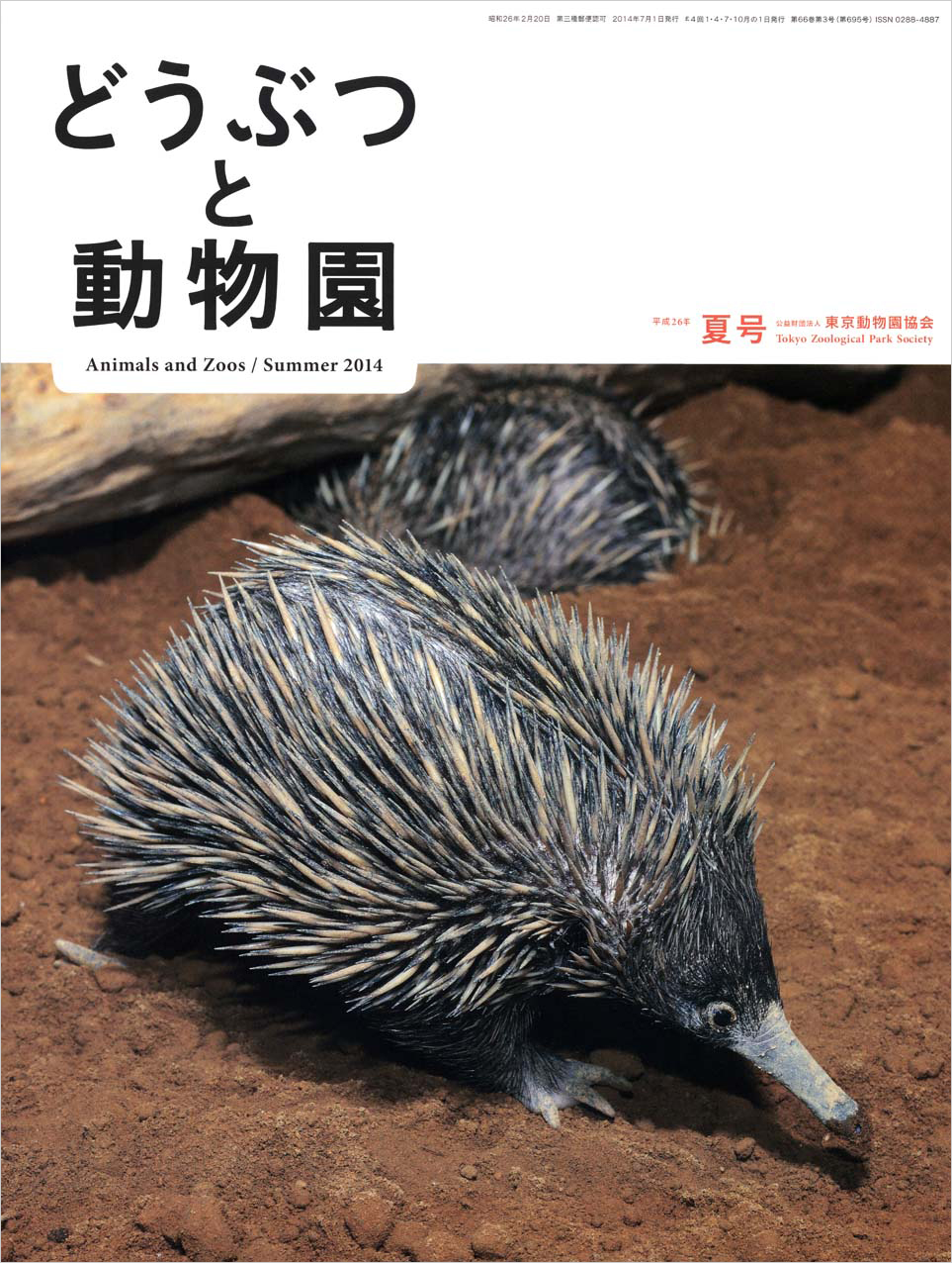 上野動物園のハリモグラ