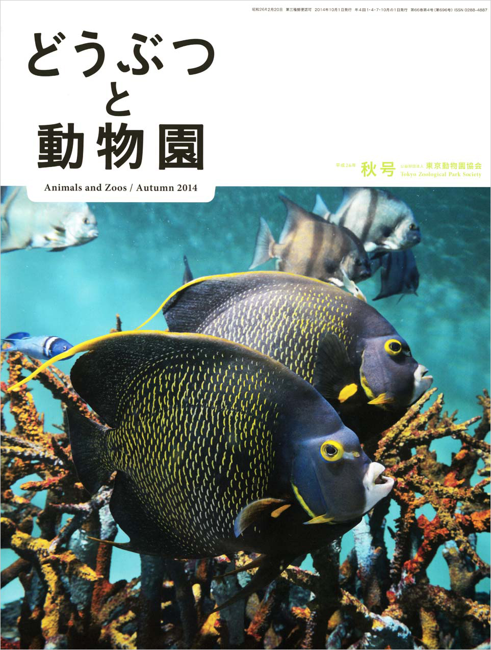 葛西臨海水族園のオウサマペンギン