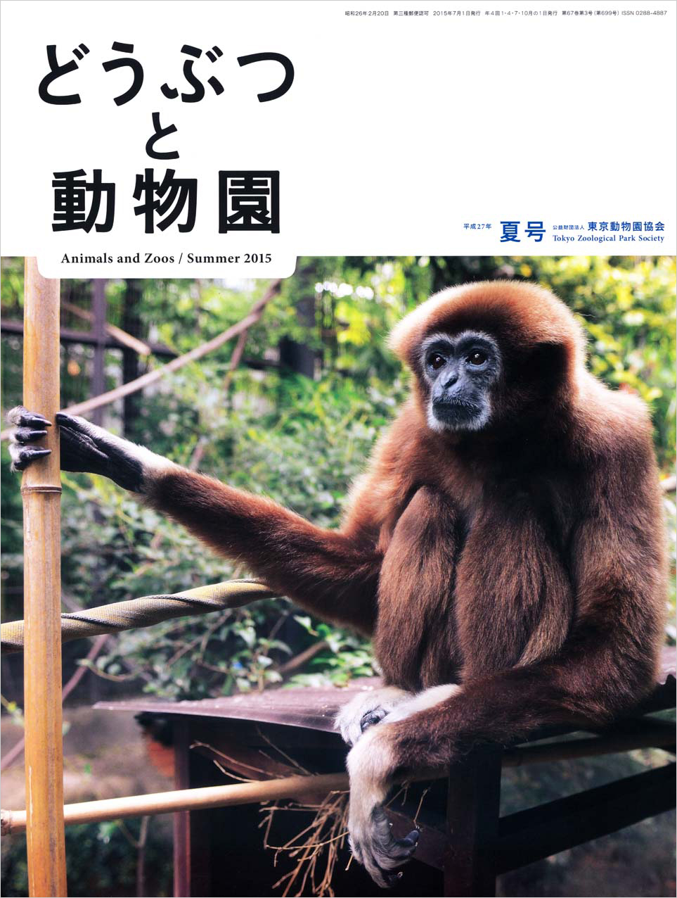 上野動物園のシロテテナガザル