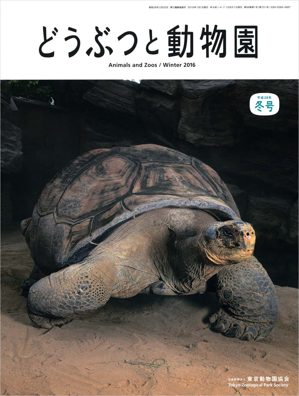 上野動物園のガラパゴスゾウガメ