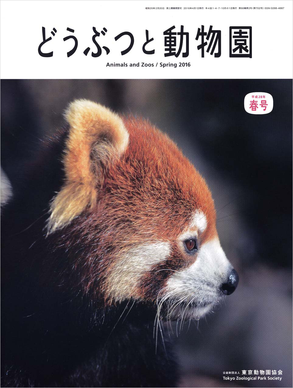 多摩動物公園のレッサーパンダ