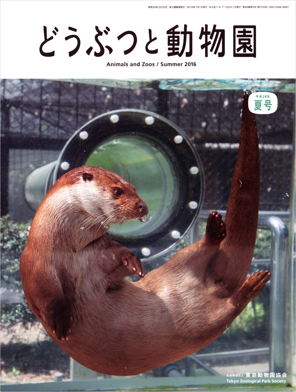 上野動物園のユーラシアカワウソ