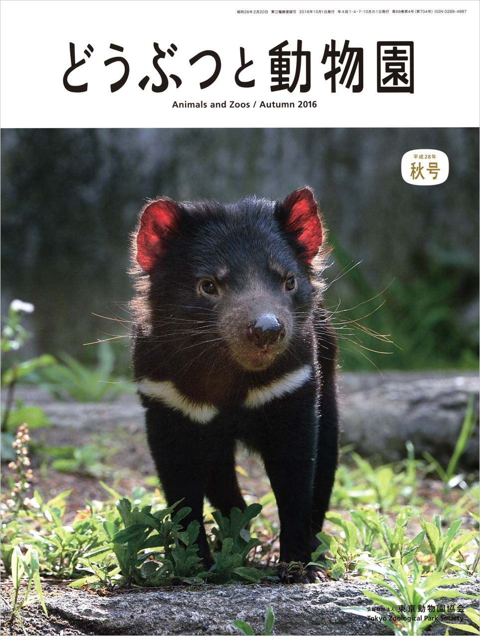 多摩動物公園のタスマニアデビル