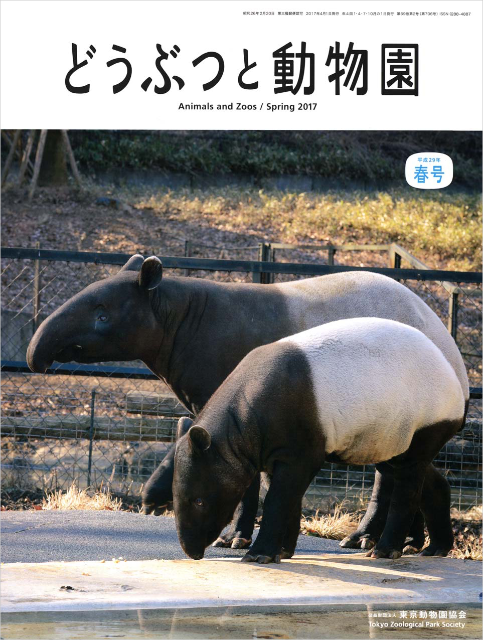 摩動物公園のマレーバク