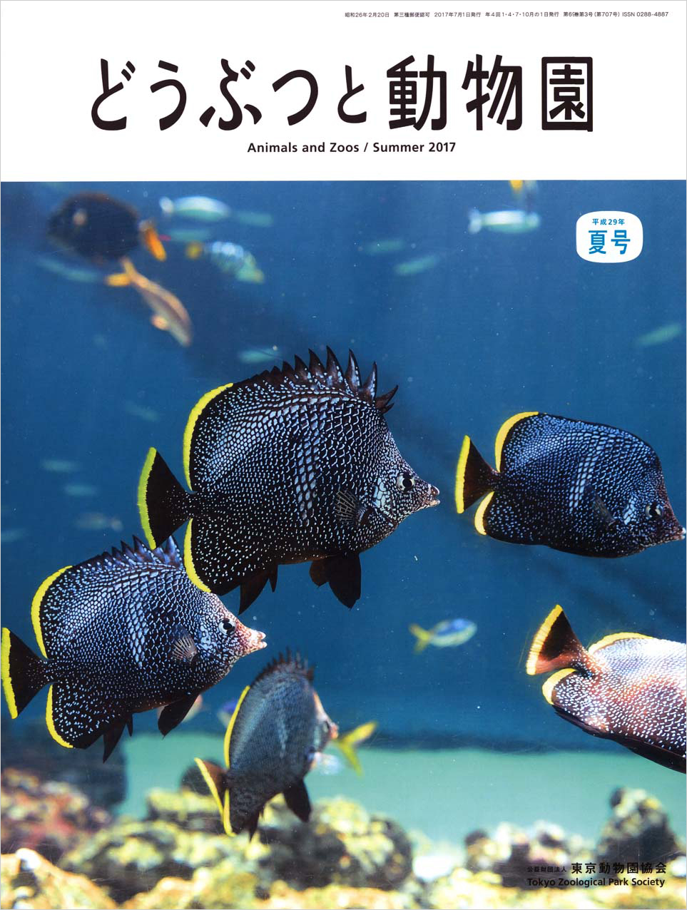 葛西臨海水族園のユウゼン