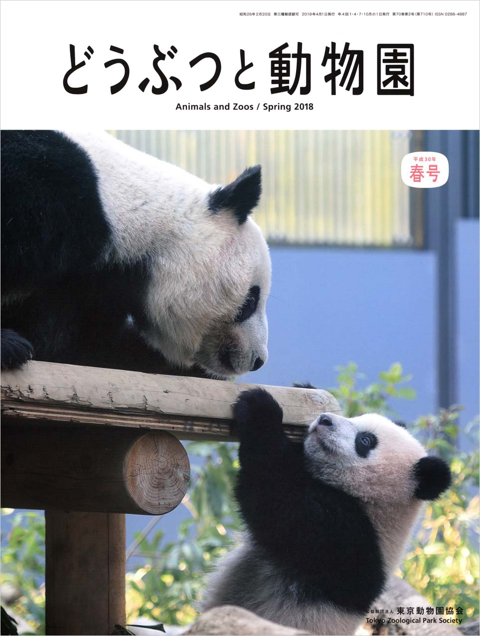 上野動物園のジャイアントパンダ