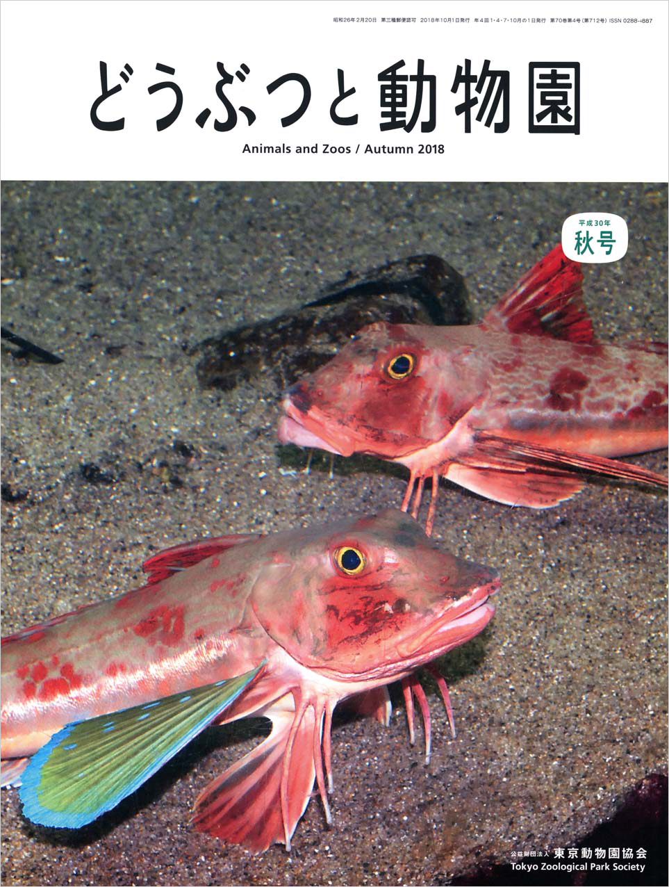 葛西臨海水族園のホウボウ