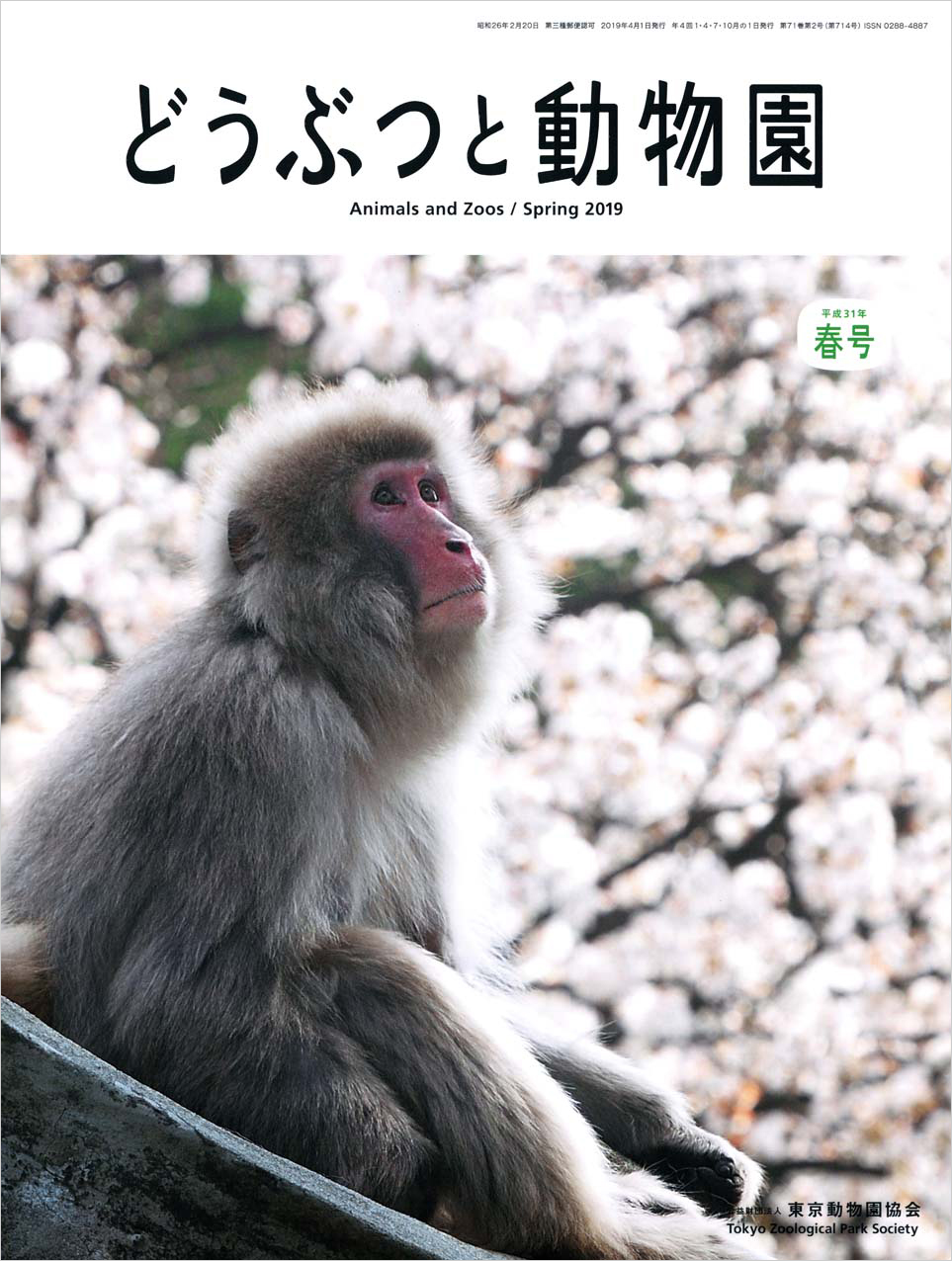 上野動物園のニホンザル