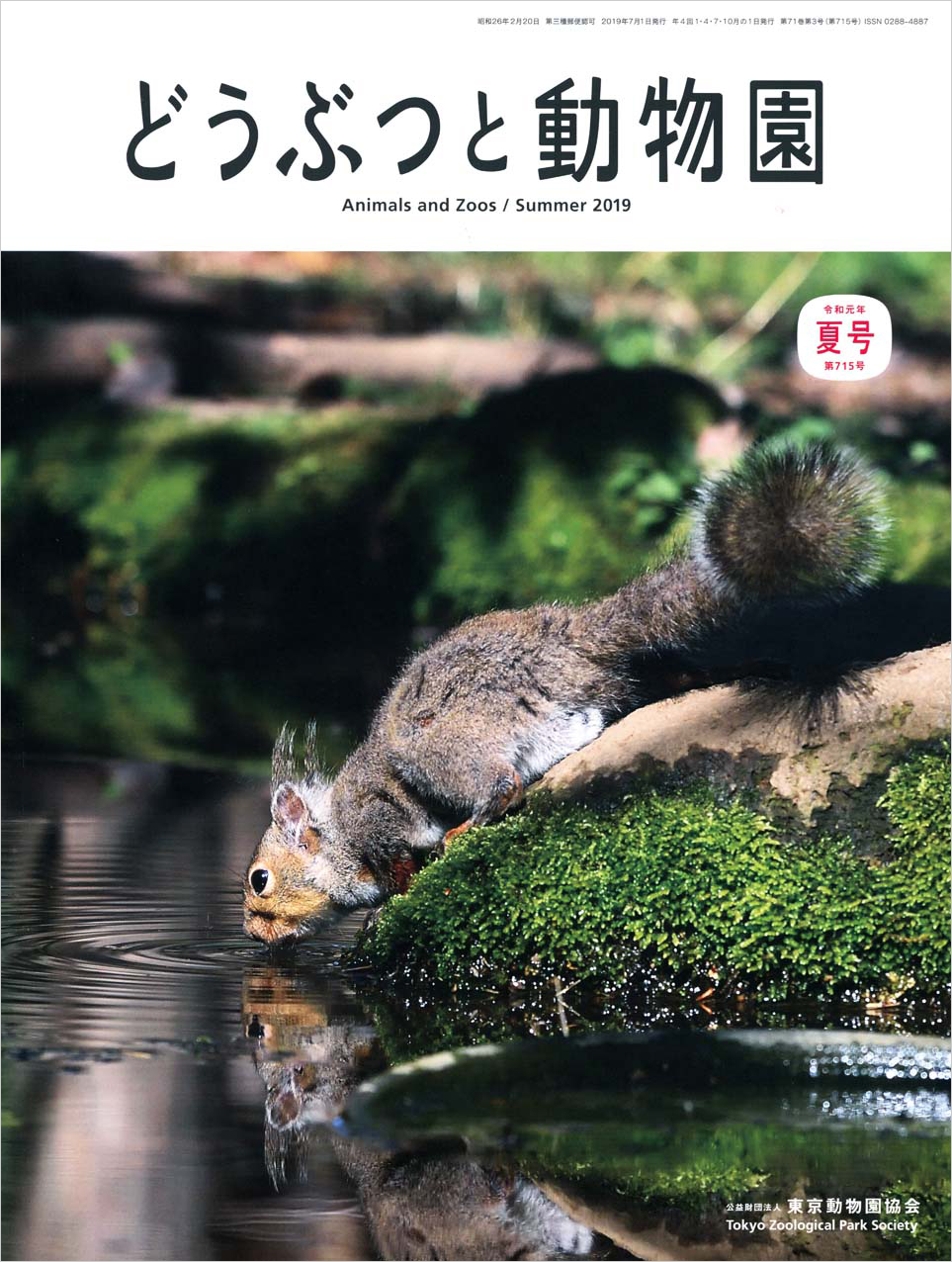 井の頭自然文化園のニホンリス