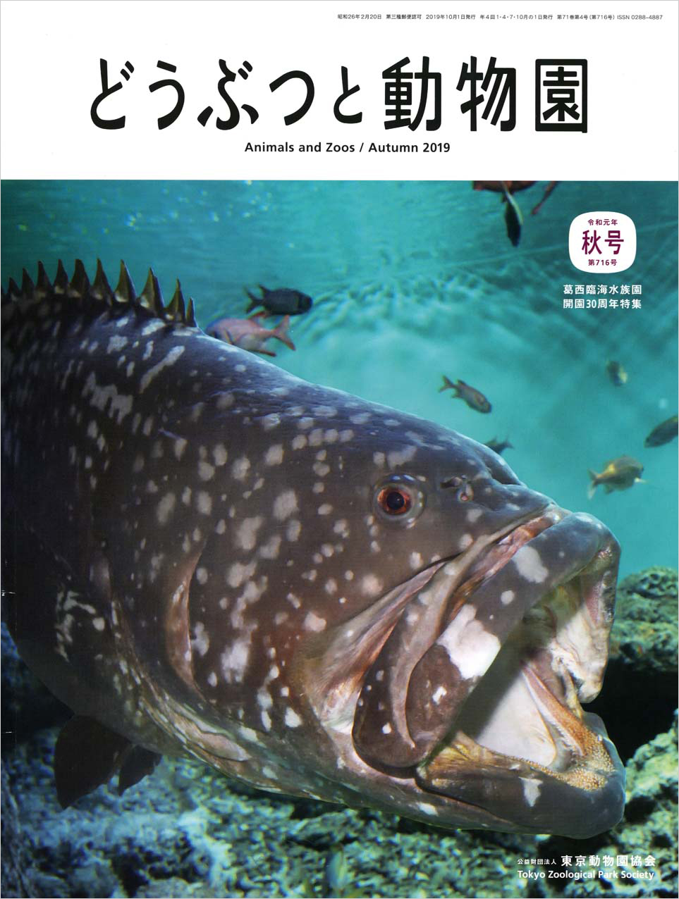 葛西臨海水族園のタマカイ
