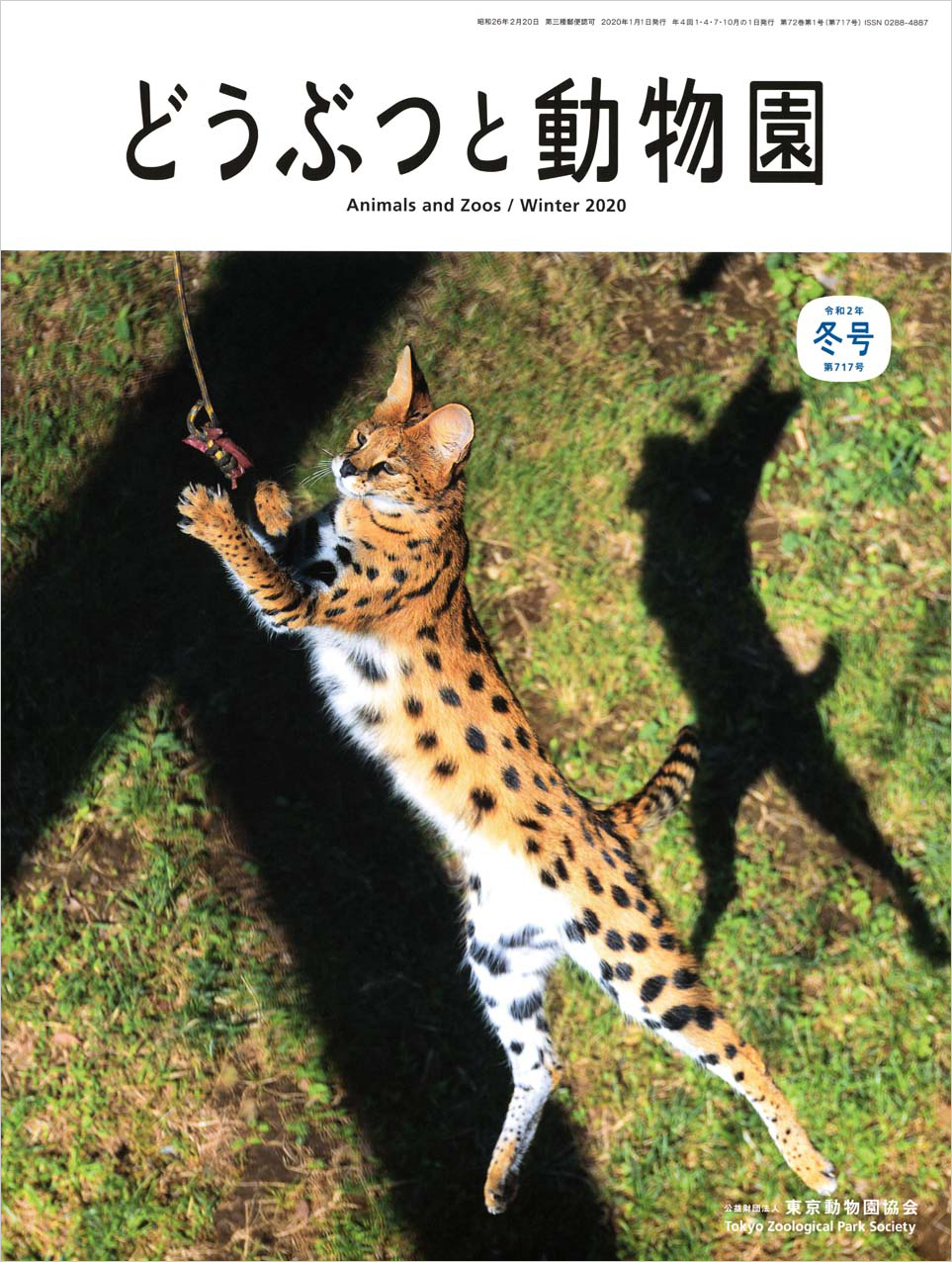 サーバル、繁殖のあゆみ