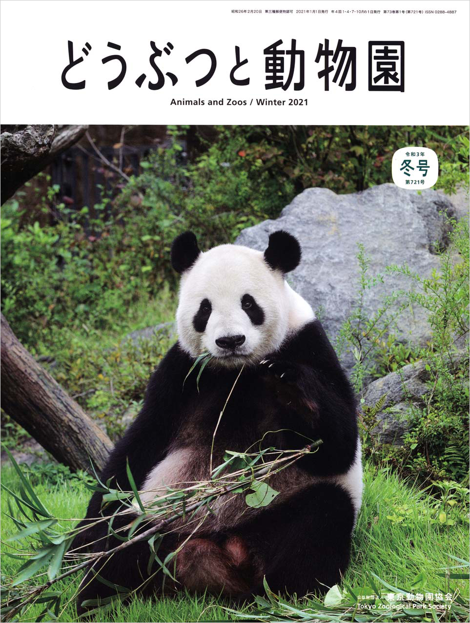 上野動物園のジャイアントパンダ「リーリー」