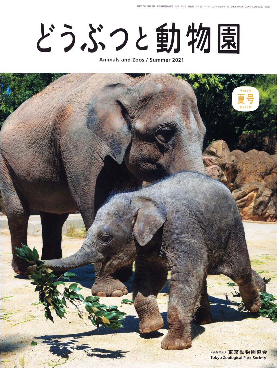 上野動物園のアジアゾウの母子“ウタイ”と“アルン”