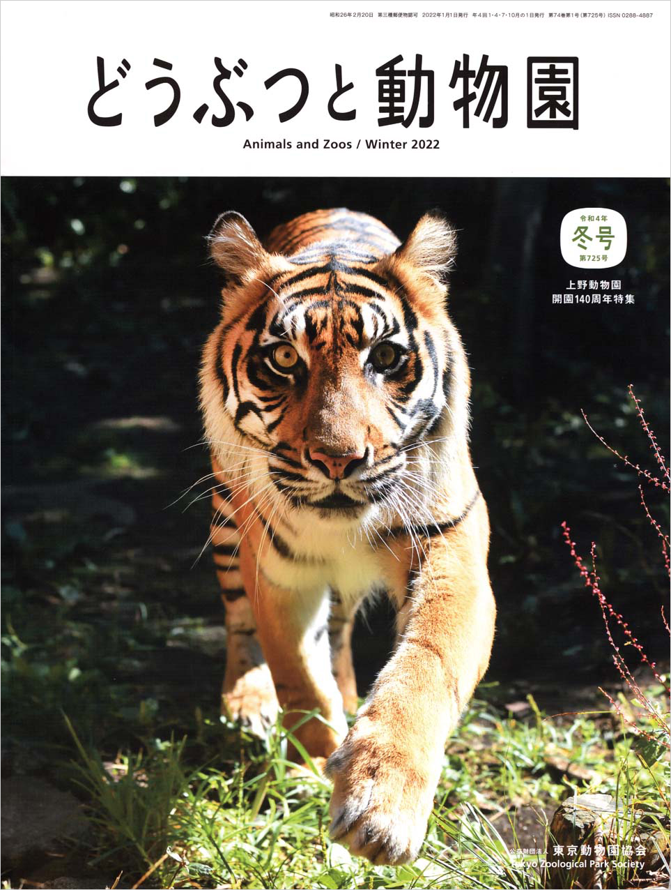 上野動物園のスマトラトラ「マニス」