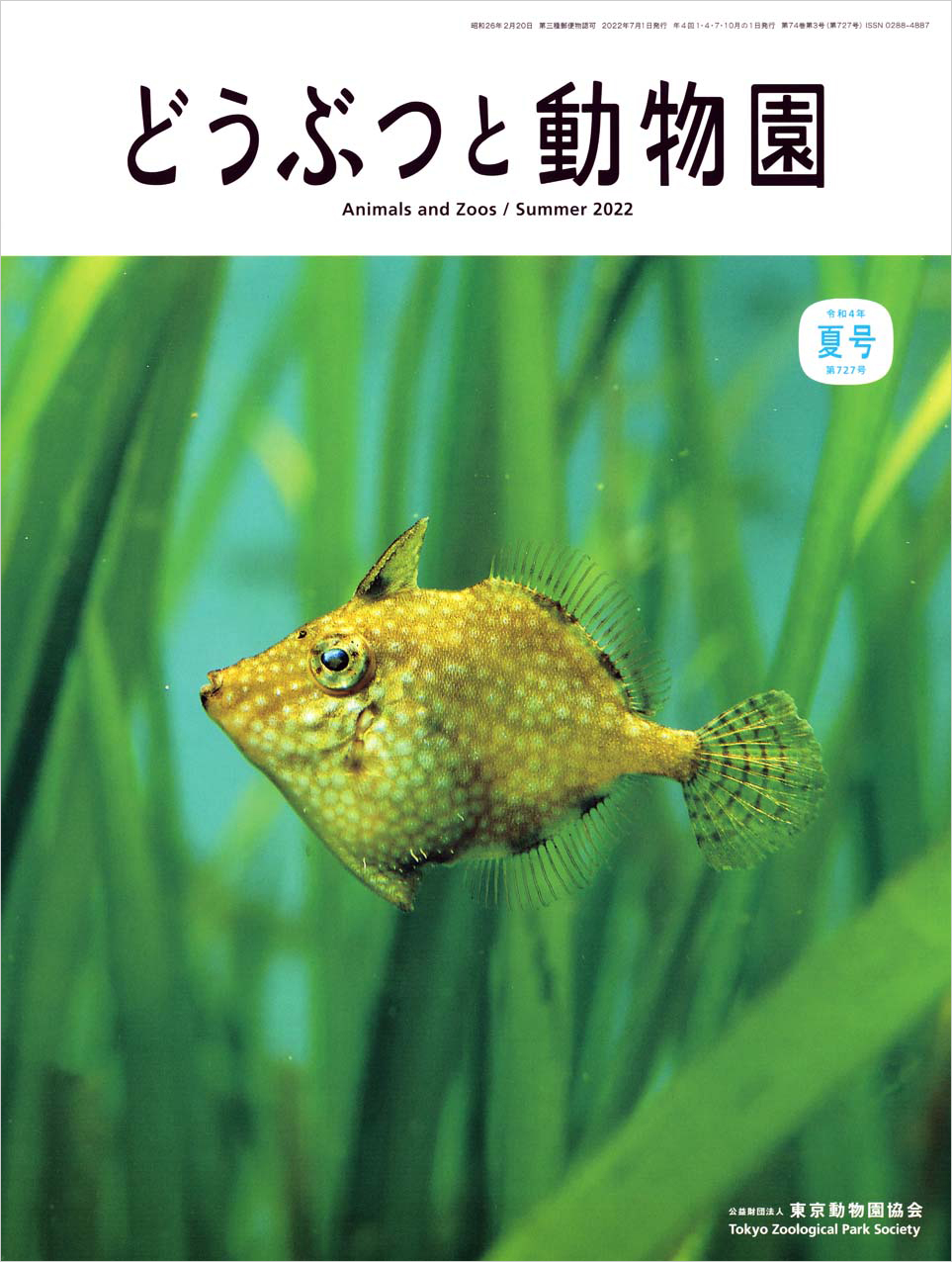 葛西臨海水族園のアミメハギ