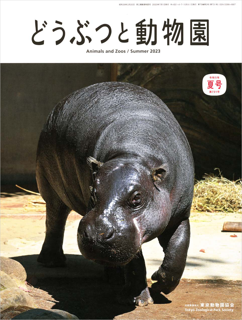 上野動物園のコビトカバ