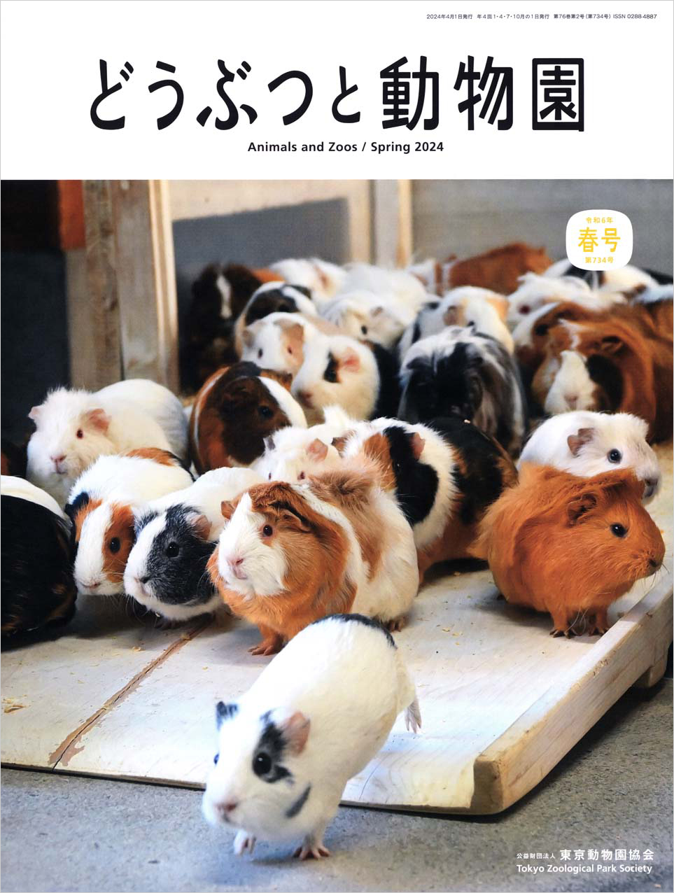 井の頭自然文化園のモルモット