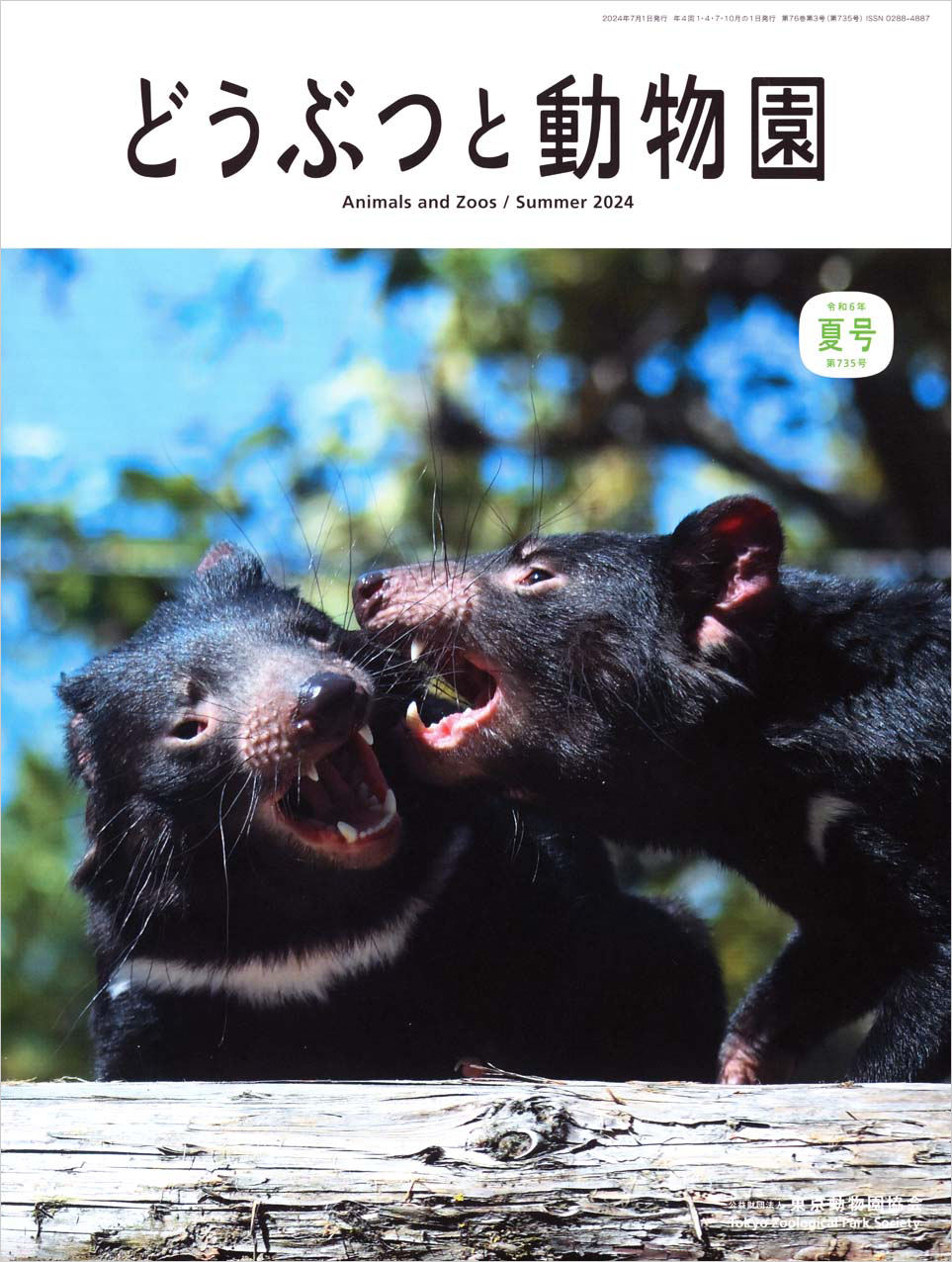 多摩動物公園のタスマニアデビル