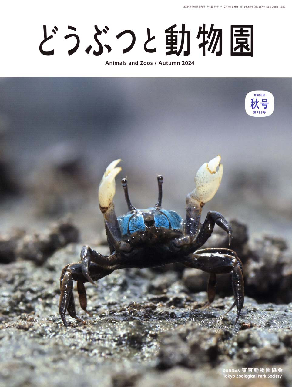 葛西臨海水族園のチゴガニ