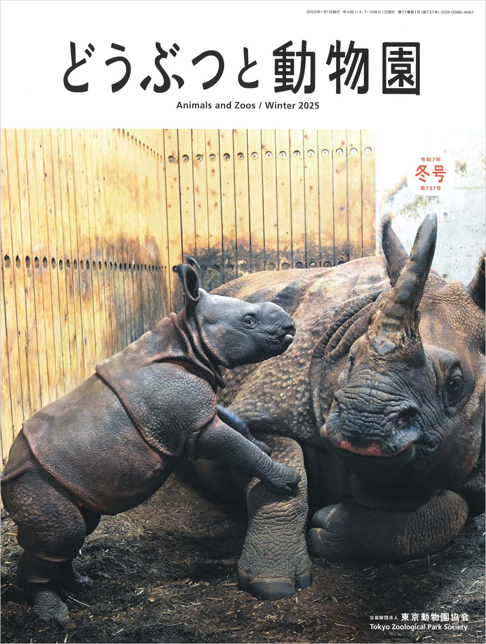 多摩動物公園のインドサイ
