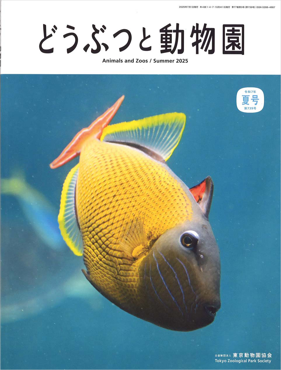葛西臨海水族園のナメモンガラ