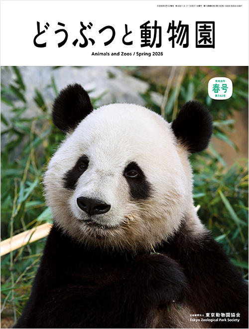 ジャイアントパンダ（2025年12月に上野動物園で撮影）