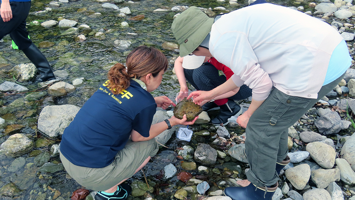 屋外での観察会。河原で大人2名が生き物を観察している