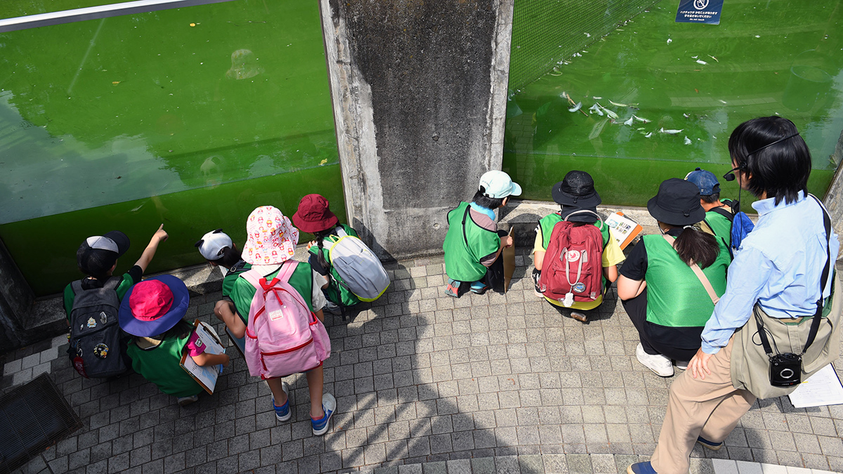 ガイドツアーのようす