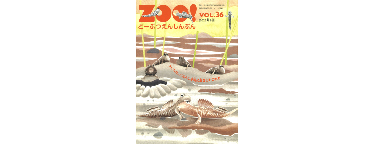 「ZOO! どーぶつえんしんぶん」ワニ特集号表紙。陸上で大きく口を開けたワニのイラスト