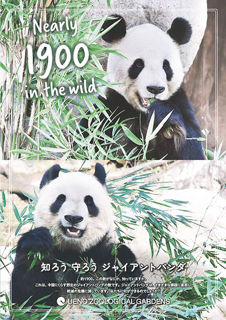 知ろう守ろうジャイアントパンダ