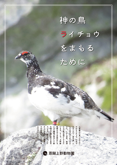 神の島ライチョウをまもるために