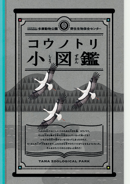 コウノトリ小図鑑
