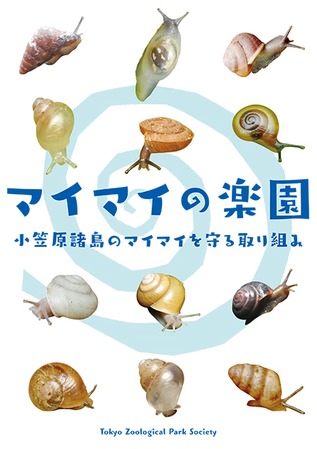 マイマイの楽園