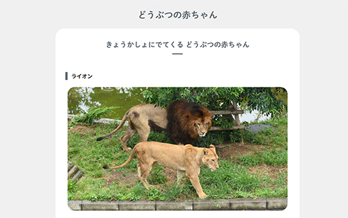 どうぶつの赤ちゃん