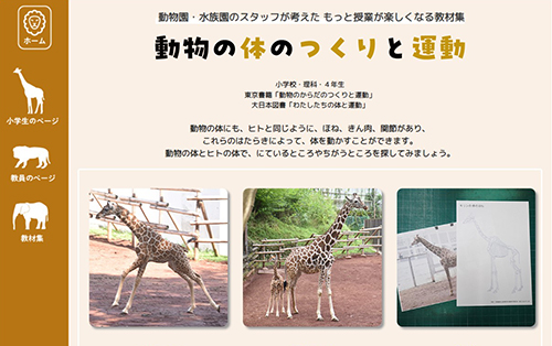 動物の体のつくりと運動 　４年理科