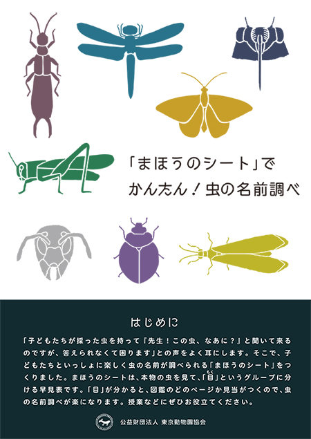 まほうのシートでかんたん！ムシの名前調べ