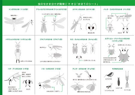 「まほうのシート」A3判