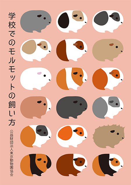 学校でのモルモットの飼い方