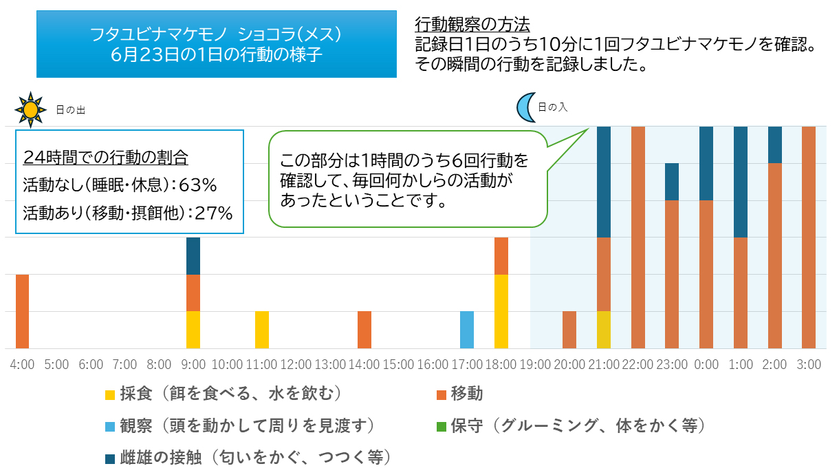 6月23日。フタユビナマケモノ「ショコラ」の24時間の行動記録