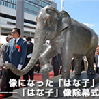 像になった「はな子」──「はな子」像除幕式