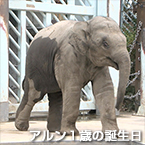 アルン1歳の誕生日