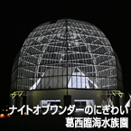 ナイトオブワンダーのにぎわい 葛西臨海水族園